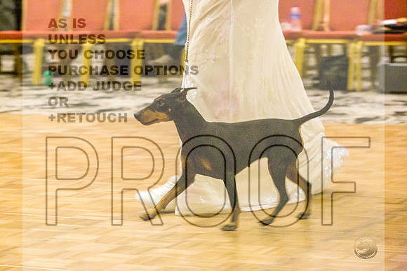 Manchester Terrier MTOY Candids-JJL_2023-Hstn2022_HR3