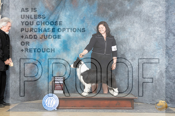Border Collie #10 Sat G4 Judge Carol White Moser__JP_5425_Fayetteville2024_HR3