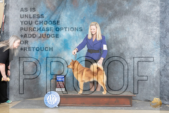 Finish Spitz #5 Sat G1 Judge Carol Moser__JP_5288_Fayetteville2024_HR3