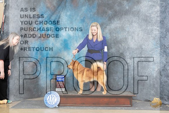 Finish Spitz #5 Sat G1 Judge Carol Moser__JP_5291_Fayetteville2024_HR3