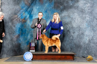Finish Spitz #5 Sat RBIS Judge C Michael Benson