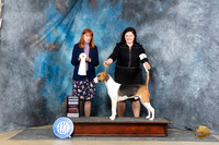 Harrier #5 Sat G4 Judge Linda Hurlebaus