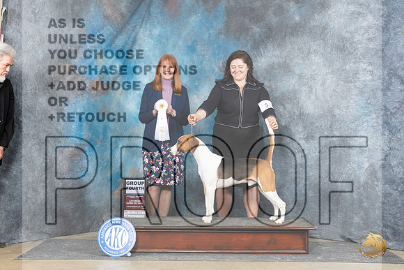 Harrier #5 Sat G4 Judge Linda Hurlebaus__JP_5397_Fayetteville2024_HR3