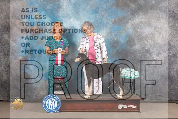 Saluki #12 WED BOS Judge Sharon Kinney_MJ_2197_Houston_2022_HR3