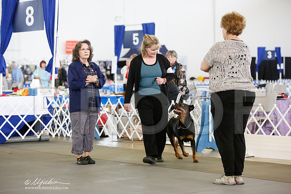 _JN_8437-DallasJul2014-HR3