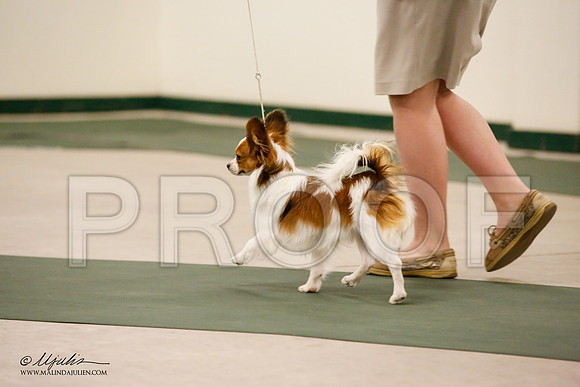 _JN_9104-NrmnNov2014-HR3