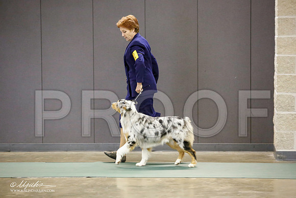 _JN_2794-BeltonJan2015-HR3