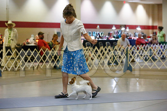 _JJ_1105-AmarilloSept2014-HR3