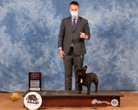 French Bulldog #14 Mon WBBOS Judge Dan Dowling