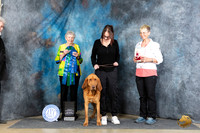 Bloodhound #? Companion BOB Sat Judge Laurie Telfair