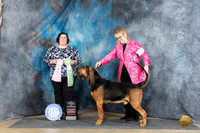 Bloodhound #26 Sat BVEt Judge Sunshine Gipson