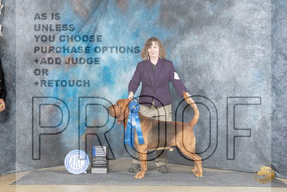 Bloodhound #9 Sat AOM__JP_5451_Fayetteville2024_HR3