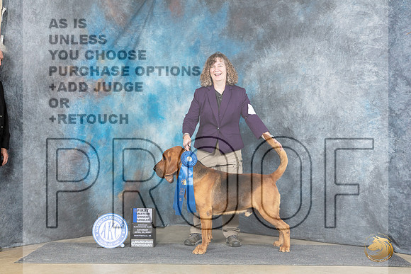 Bloodhound #9 Sat AOM__JP_5455_Fayetteville2024_HR3