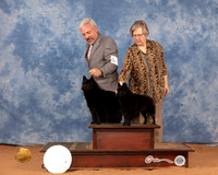 Schipperke #15 #26