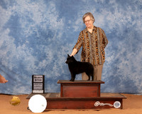 Schipperke #26 Mon SB Judge Dan Dowling