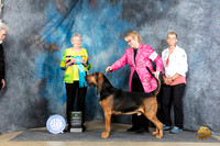 Bloodhound #25 Sat AOM Judge Laurie Telfair