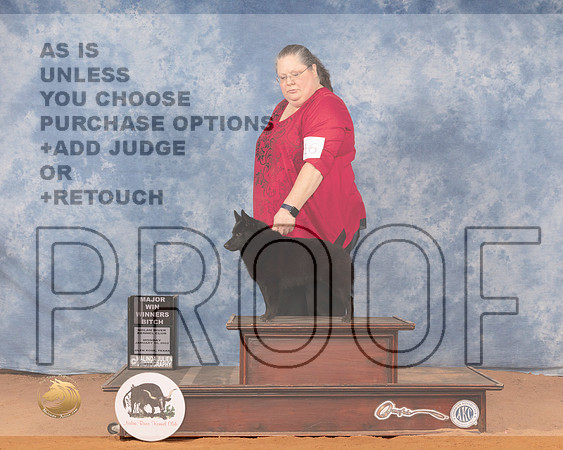 Schipperke #32 Mon WB Judge Dan DowlingMMJ_0523_NRKC2022_HR3