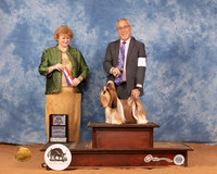 Shih Tzu #8 Mon BOS Judge Betty Pollock