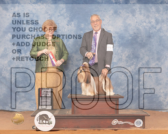 Shih Tzu #8 Mon BOS Judge Betty PollockMMJ_0531_NRKC2022_HR3