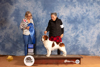 Kooikerhondje #11 Mon G1 Judge Helen Dorrance