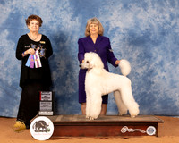 Poodle Std #6 Mon WBBOS Judge Betty Pollock