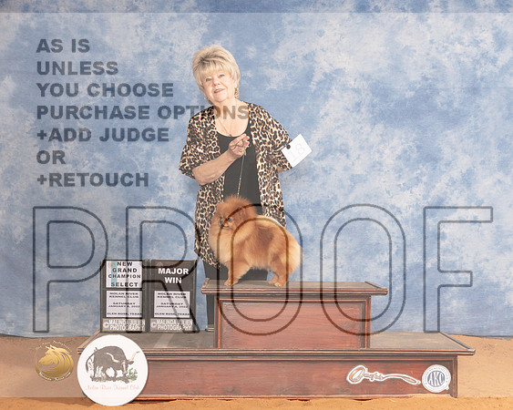 Pomeranian #18 Mon SB Judge Doris CozartMMJ_0703_NRKC2022_HR3