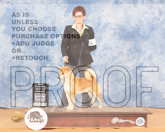 Shiba #7 Mon BOW Judge Dan DowlingMMJ_0796_NRKC2022_HR3