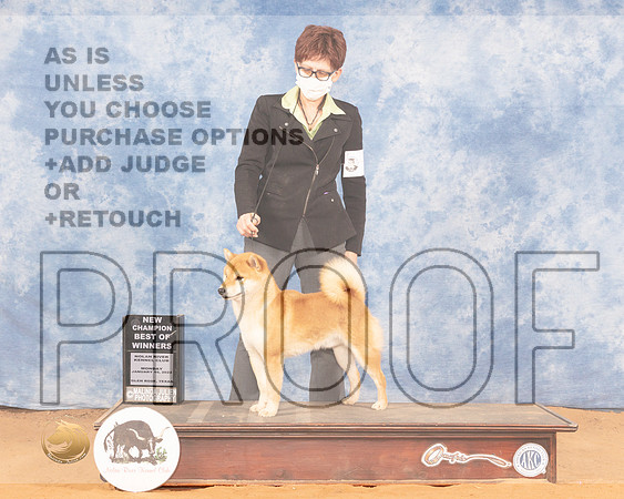 Shiba #7 Mon BOW Judge Dan DowlingMMJ_0795_NRKC2022_HR3