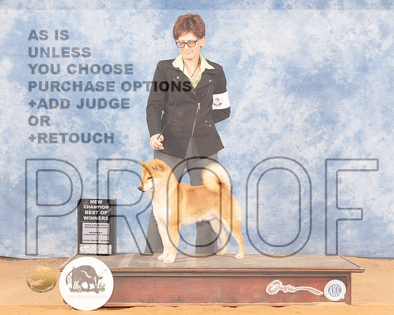 Shiba #7 Mon BOW Judge Dan DowlingMMJ_0797_NRKC2022_HR3