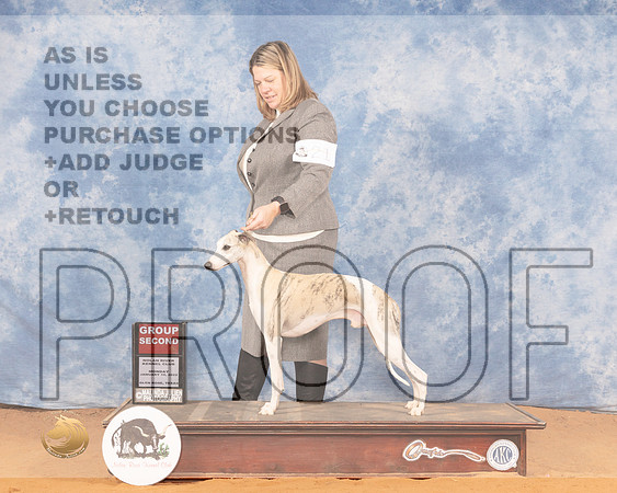 Whippet #21 Mon G2 Judge Denny MounceMMJ_0732_NRKC2022_HR3