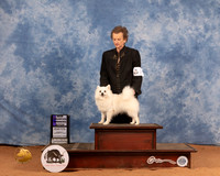 American Eskimo #20 Sun WB Judge Carol Jean Nelson