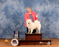 American Eskimo #9 Mon WD Judge Dan Dowling
