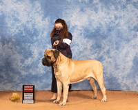 Mastiff #5 Mon G2 Judge Ron Horn