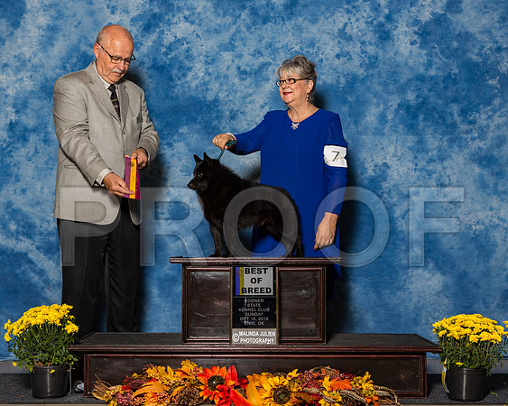 2- EnidOK -October 16, 2016-HR3