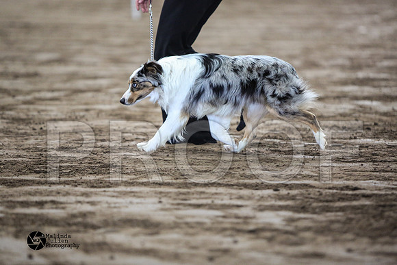 MJ2_0679-WacoFeb14-HR