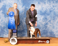 Bulldog #12 Mon G1 Judge Cledith Wakefield