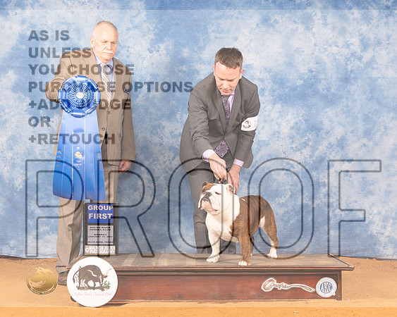 Bulldog #12 Mon G1 Judge Cledith WakefieldMMJ_0964_NRKC2022_HR3