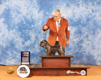 Cesky #9 Mon WD Judge Carol Jean Nelson