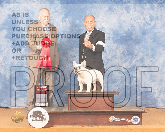 French Bulldog #9 Mon G2 Judge Cledith WakefieldMMJ_0958_NRKC2022_HR3