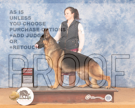 German Shepherd Dog #19 Mon G2 Judge Linda ClarkMMJ_0920_NRKC2022_HR3