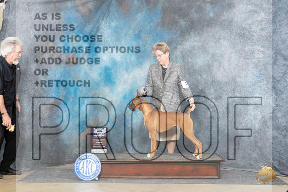 Boxer #18 Sun BOWM Judge Joyce Siddall__JP_5574_Fayetteville2024_HR3