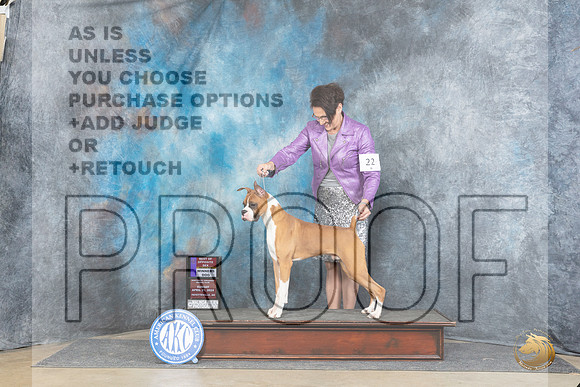 Boxer #5 Sun WDBOSM Judge Joyce Siddall__JP_5559_Fayetteville2024_HR3