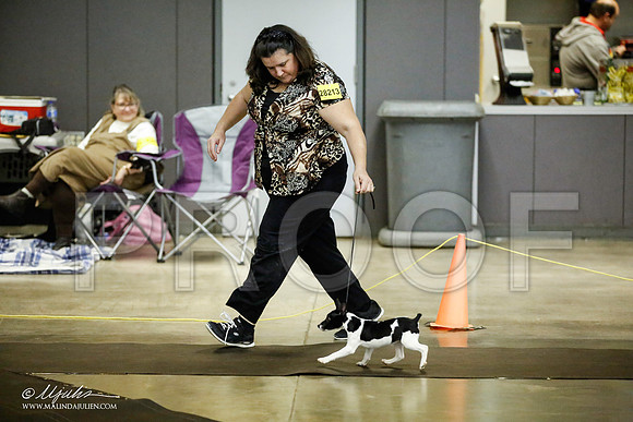 _JJ_5989-BeltonJan2015IABCA-HR3