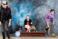 Bulldog #5 Sun WDBOWM Judge Linda Hurlebaus