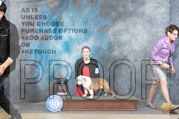 Bulldog #5 Sun WDBOWM Judge Linda Hurlebaus__JP_5551_Fayetteville2024_HR3