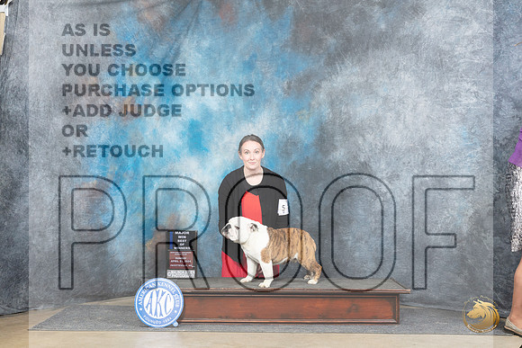 Bulldog #5 Sun WDBOWM Judge Linda Hurlebaus__JP_5553_Fayetteville2024_HR3