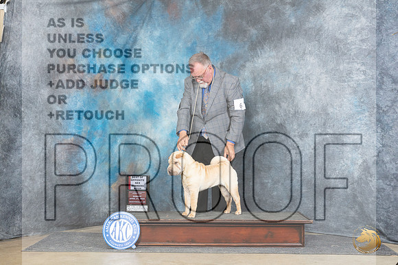 Chinese Shar Pei #6 Sun WBBOS Judge Linda Hurlebaus__JP_5564_Fayetteville2024_HR3