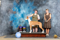 Ibizan Hound #22 Sun BOBOHBOBMBGCH Judge Denny Mounce