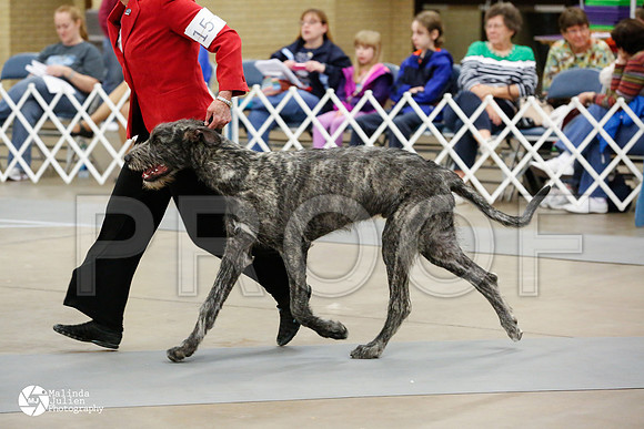 IRWO-2012-FWMar14-HR