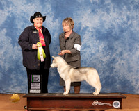 Siberian Husky #5 Sun PBIS Judge Joy Bass